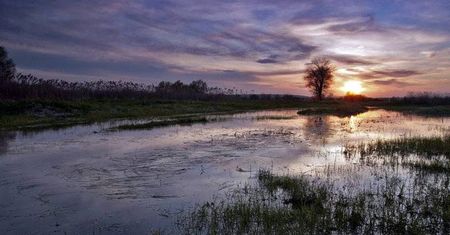 Wieża widokowa w Umianowicach. Nowe miejsce w Świętokrzyskiem
