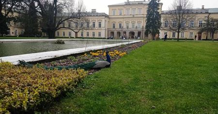 Wiosenny spacer po parku - Park Czartoryskich w Puławach