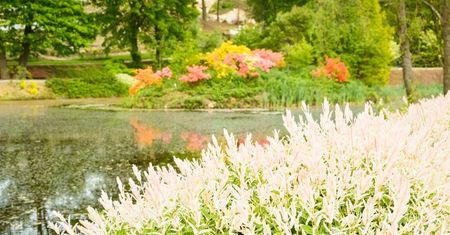 Arboretum Wojsławice - miejsce, które warto zobaczyć jesienią!