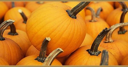 Haloween w Badecie Ursynów