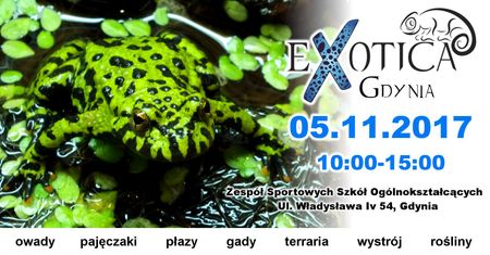 Exotica Gdynia - wystawa egzotycznych pajęczaków, owadów, płazów i innych zwierząt