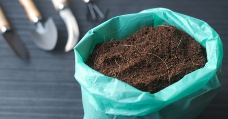 Została ci ziemia w otwartym worku? Nie musisz jej wyrzucać, ale tak jej nie zostawiaj