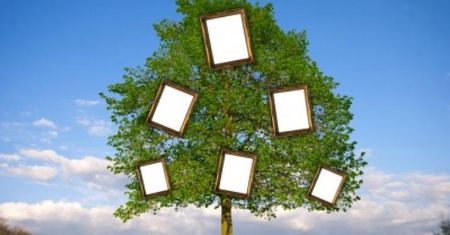 Jak zrobić drzewo genealogiczne – zabawa dla dzieci