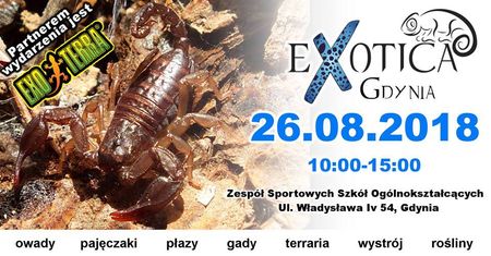 Exotica Gdynia - wystawa zwierząt