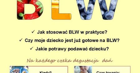 Warsztaty dla rodziców z żywienia metodą BLW