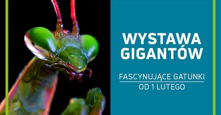 Wystawa Gigantów w Galerii Północnej
