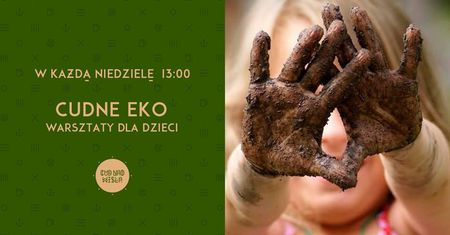 Cudne EKO warsztaty dla dzieci na świeżym powietrzu