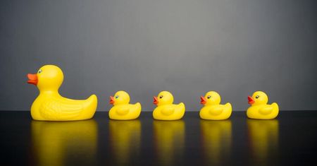 MULTIbaby: angielski dla przedszkolaków: "Five little ducks went swimming one day"