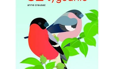 Mała Literatura - "52 Tygodnie"