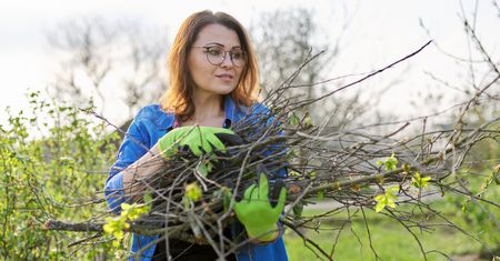 Sterta gałęzi po letnim cięciu? Zamiast je wyrzucać, możesz wykorzystać je w ogrodzie
