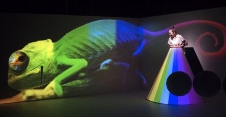 "Plama" we Wrocławskim Teatrze Lalek