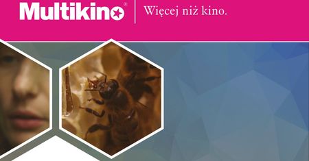 Łowcy miodu: na ratunek pszczołom