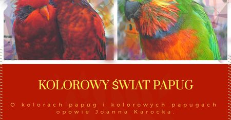 O kolorach papug oraz kolorowych papugach - prelekcja w Akademii Papug