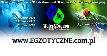 Water & Dragon - Wystawa Zwierząt Egzotycznych