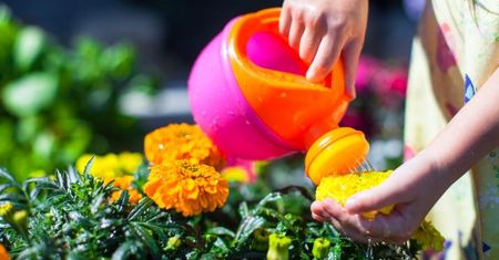 Pielęgnacja roślin i mały ogrodnik – eksperymenty dla dzieci