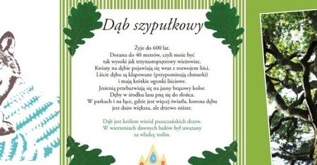 Z wizytą u wilków w Puszczy Białowieskiej
