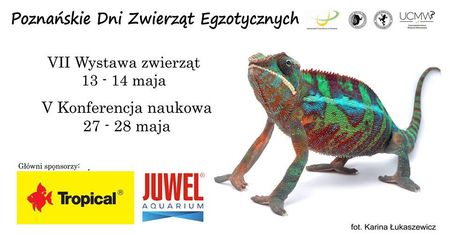 Poznańskie Dni Zwierząt Egzotycznych