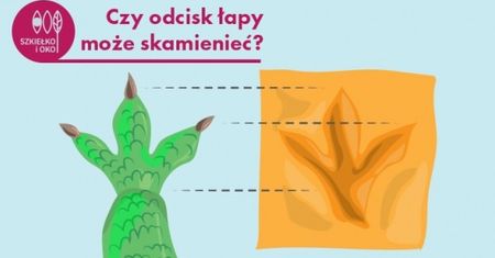 Warsztaty poświęcone prehistorii