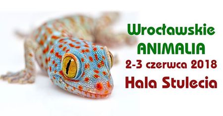 Wrocławskie Animalia