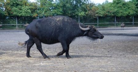 Istne safari, czyli podróż z dzieckiem!