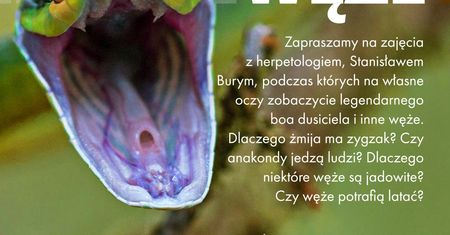 Oko w oko z bestią?