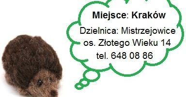 Recykling, czyli coś z niczego