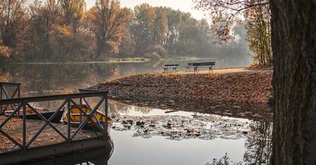 Mikroświat porostów - warsztaty przyrodnicze w Wilanowie