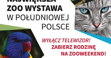 ZOO Weekend wystawa zoologiczna