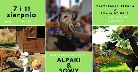 Warsztaty przyrodnicze - spotkanie z alpakami i sowami