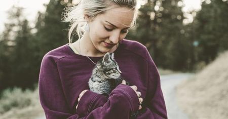 Felinoterapia - w czym pomaga kontakt z kotem?