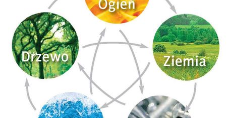 Wykład: Dieta dziecka wg Tradycyjnej Medycyny Chińskiej