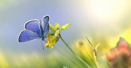 Biodynamiczna terapia czaszkowo-krzyżowa po porodzie – kiedy i dlaczego warto ją stosować?