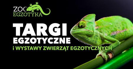 Targi Egzotyczne i Wystawa Zwierząt Ezgotycznych