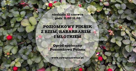 Piknik Poziomkowy nad Wilgą