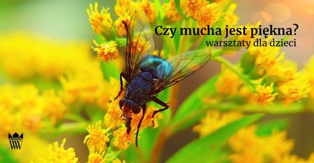 Warsztaty przyrodniczo-plastyczne "Czy mucha jest piękna?"