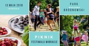 Piknik Festiwalu Wibracje