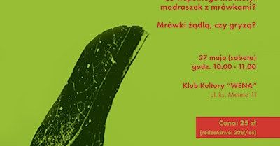 Mrówki - warsztaty przyrodnicze dla dzieci