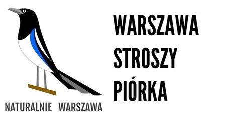 Warszawa stroszy piórka - Zimowy ornitospacer