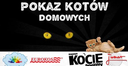 Pokaz Kotów Domowych