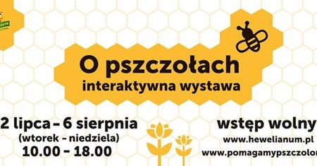 Interaktywna Wystawa o Pszczołach - Hewelianum