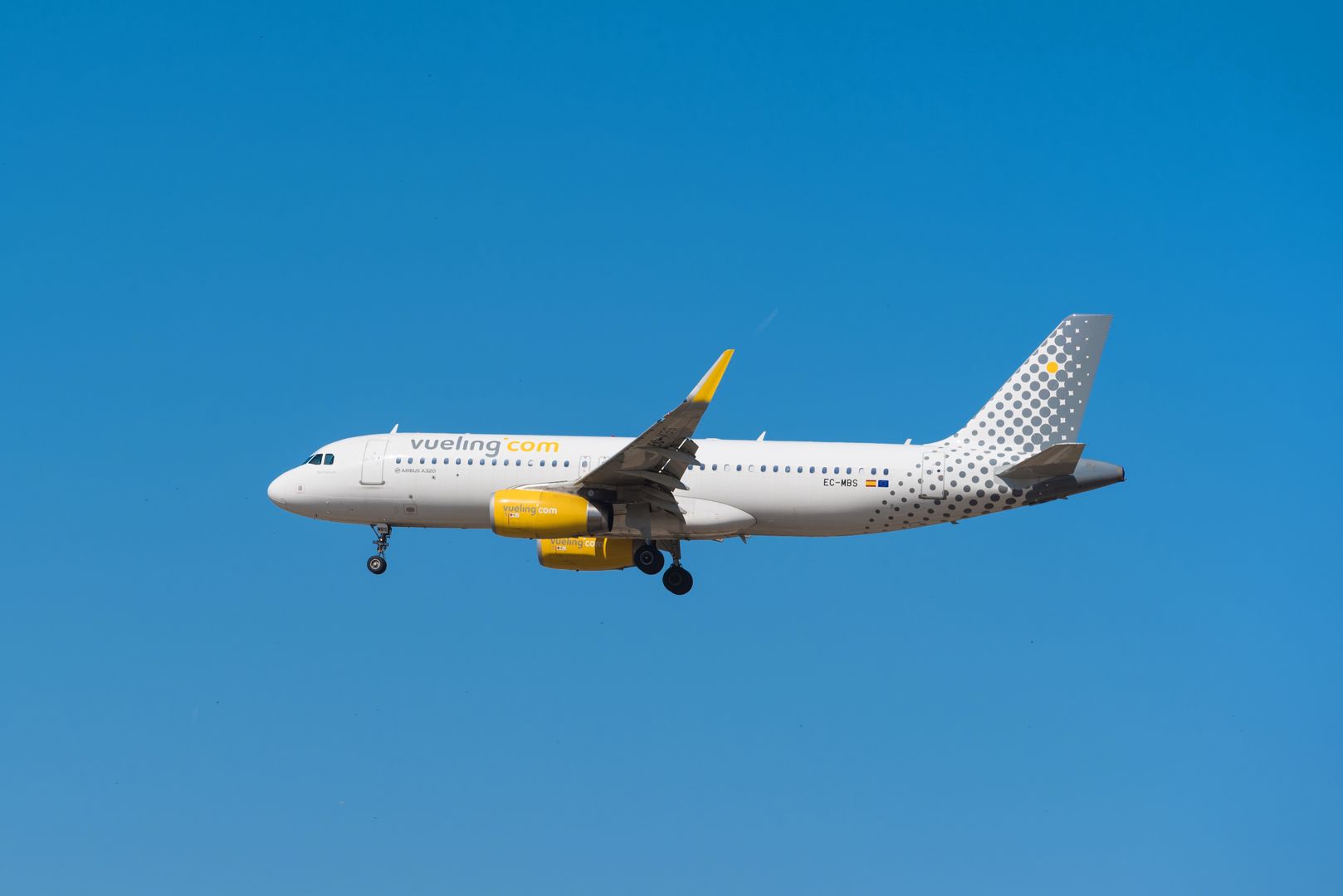 Vueling pets best sale