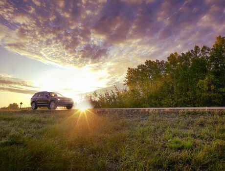 publikowanie artów z linkiem follow