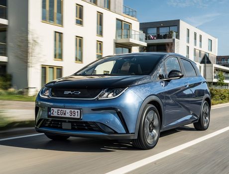 byd dolphin