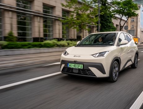 BYD Dolphin Surf