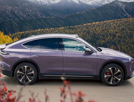 nio polska grupa autowallis