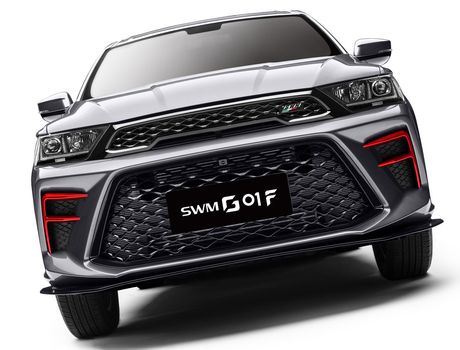 swm g01f