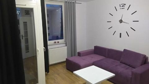 Apartament 4-osobowy z 1 pomieszczeniem sypialnianym