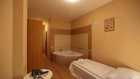 Pokój 1-osobowy Standard z prysznicem