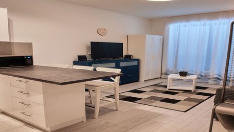 Apartament 2-osobowy Premium Studio z 1 pomieszczeniem sypialnianym