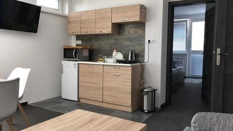 Apartament 3-osobowy z prysznicem z własną kuchnią (możliwa dostawka)